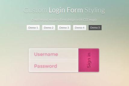 Custom Login Form Styling