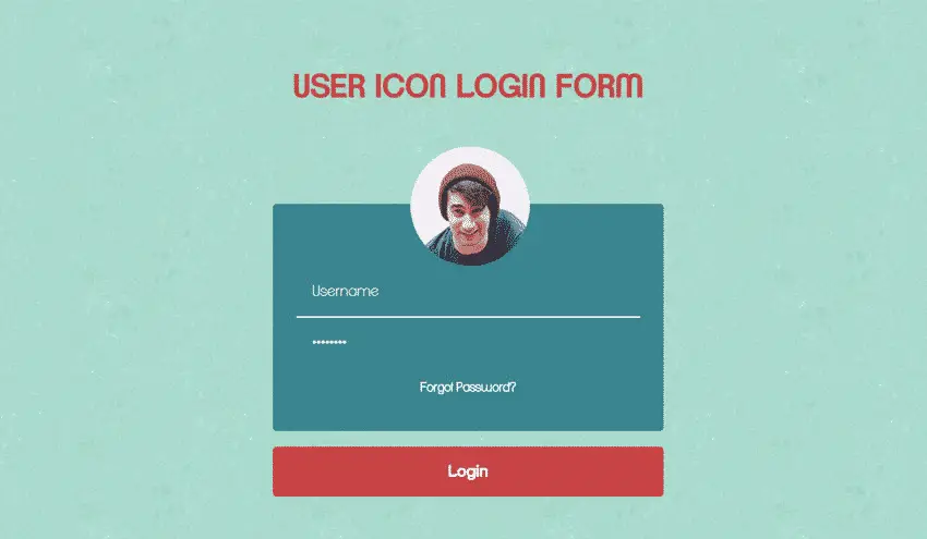 User Icon Login Form