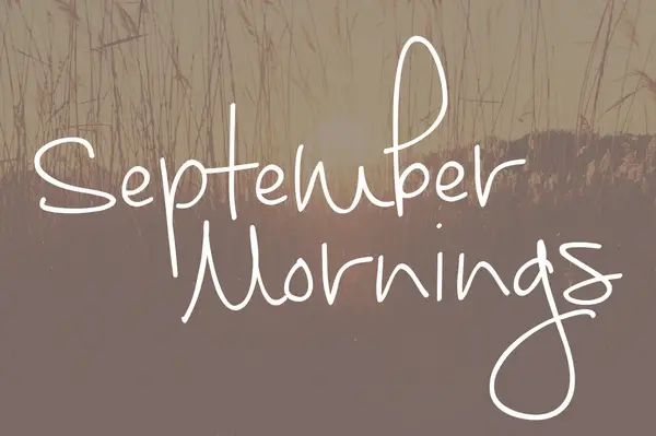 September Medical Font