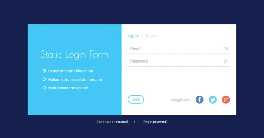 Static Login Form