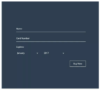Credit Card CSS Template