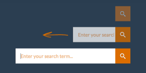 HTML3 & CSS3 Jquery Search Boxes