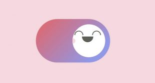 CSS Toggle Switches