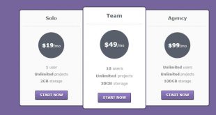 Pricing-Table-HTML-Template