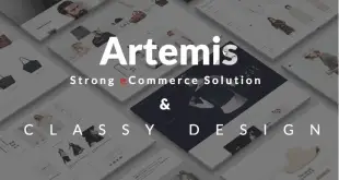 Best Woocommerce WP Templates