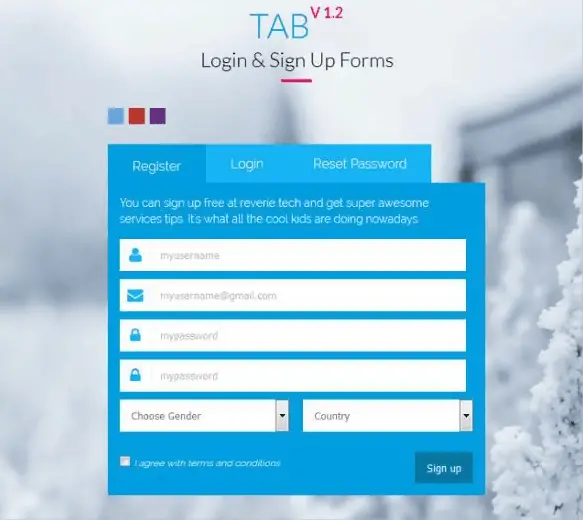 Tab Login & Sign-Up HTML Forms