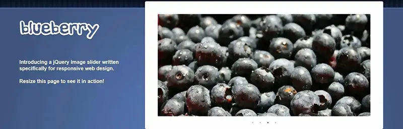 Blueberry Image Slider