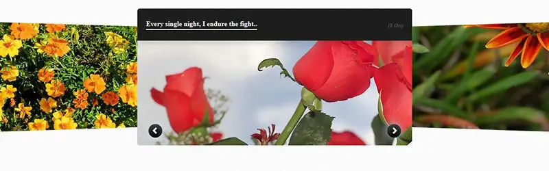 CSS Image slider with 3-D transitions