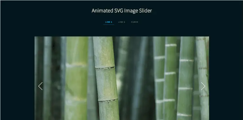 Animated SVG Image Slider