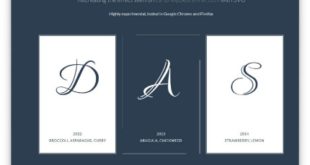 free css border animations
