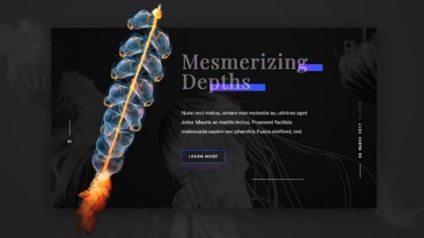 15+ Best Responsive jQuery Cards Templates