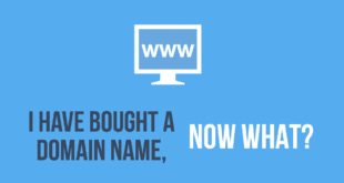 I Bought A Domain Name Now What?