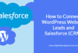 wordpress salesforce integration
