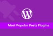 best wordpress popular posts plugin