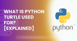 What Is Python Turtle Used For? [Explained]