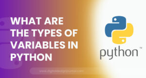 What are the types of variables in Python