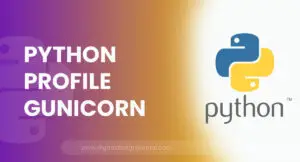 Python Profile Gunicorn