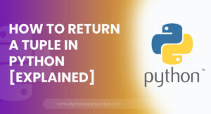 How To Return A Tuple In Python